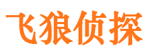 海勃湾飞狼私家侦探公司